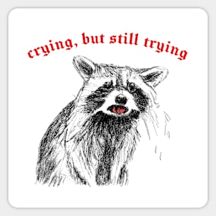 Crying, But Still Trying  -- Raccoon Lover Design Sticker